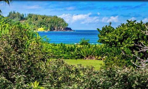 Beautiful ocean views from the home!