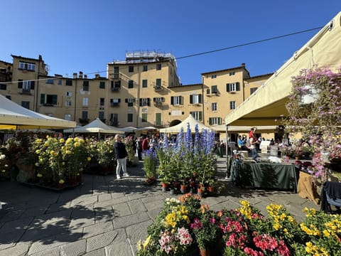 City, Public Space, Town, Tent, Canopy, Umbrella, Mixed-Use, Town Square, Awning