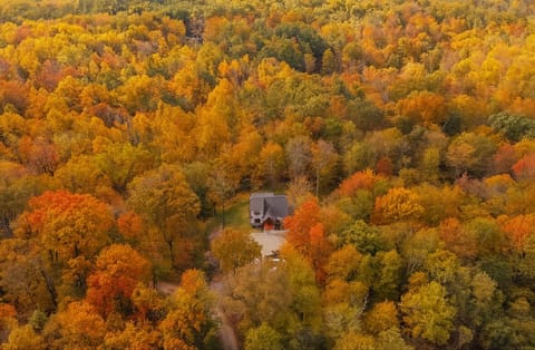 Fall Drone Shot