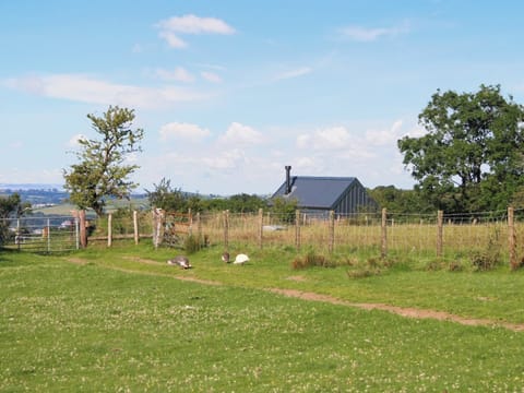 Setting | Llandremor Fawr Lodge - Llandremor Fawr Holidays, Pontarddulais