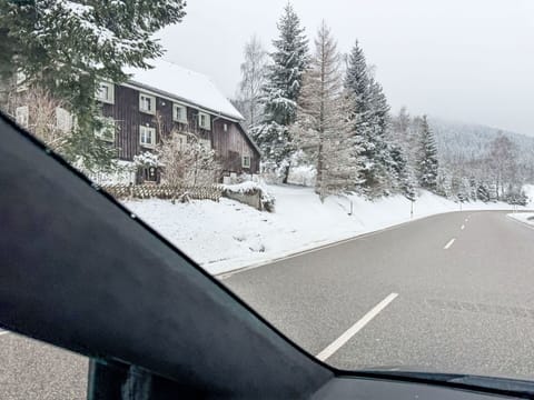 Winter, Snow, Freezing, Glass, Highway, Frost, Larch