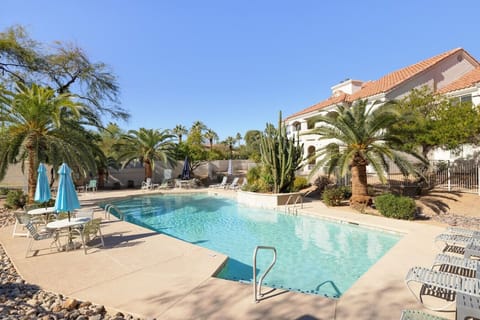 It’s always pool time in Arizona—enjoy a sparkling pool surrounded by swaying palms and desert plants.