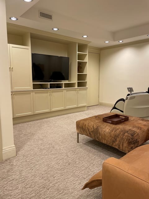 Lower level media room