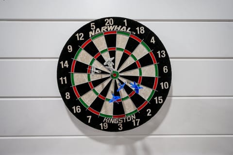 Bullseye-ready dartboard with sleek panels for game night & precision play.
