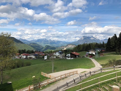 View from Holiday Home [summer]