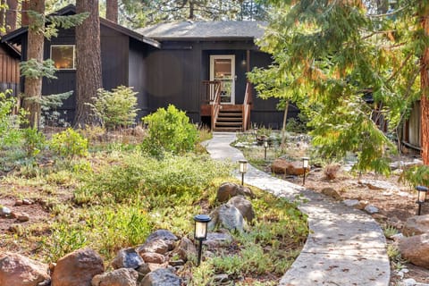 Front Yard and entrance