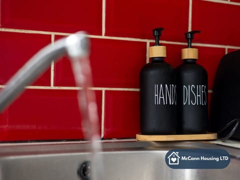Water flows from a modern tap into a stainless steel sink. Two black pump bottles labelled "HAND" and "DISH" stand on the edge, set against a bold red tiled splashback, adding a stylish contrast to the kitchen scene.