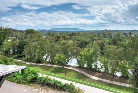 Views of the French Broad River!