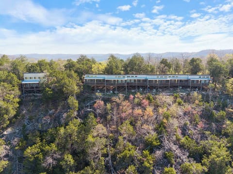 d8f77eff-ad77-4a27-8901-2299a450cd32