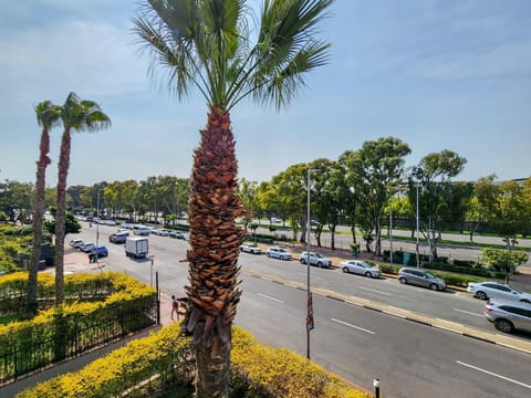 Modern Green Point Apartment with Balcony (30016)