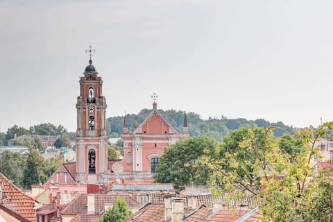 View from a rooftop terrace