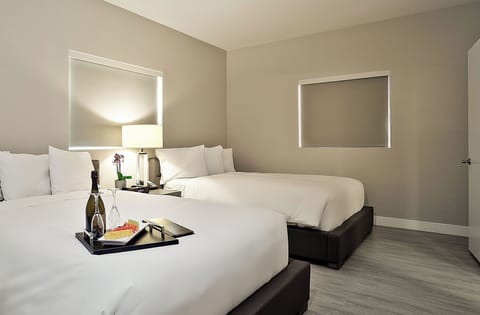 Unit with 2 Queen size bed