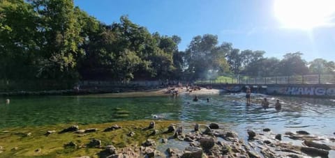 Zilker Metropolitan Park is a sprawling green haven nestled in the heart of Austin, a place where the pulse of the city softens into the rhythm of nature. It is 33mins drive.