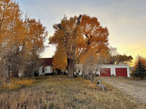 Malachite in the fall