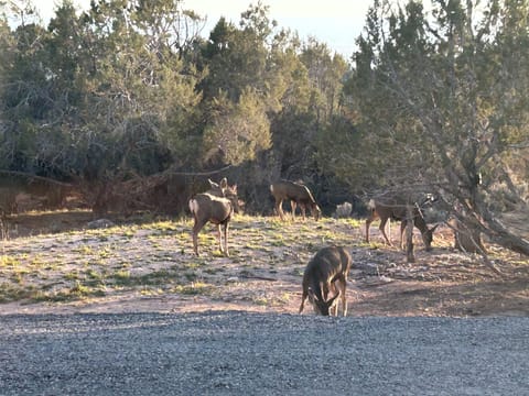 Does looking for their buck!
