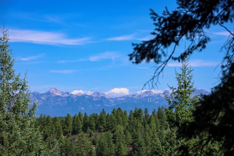 The view from our patio 