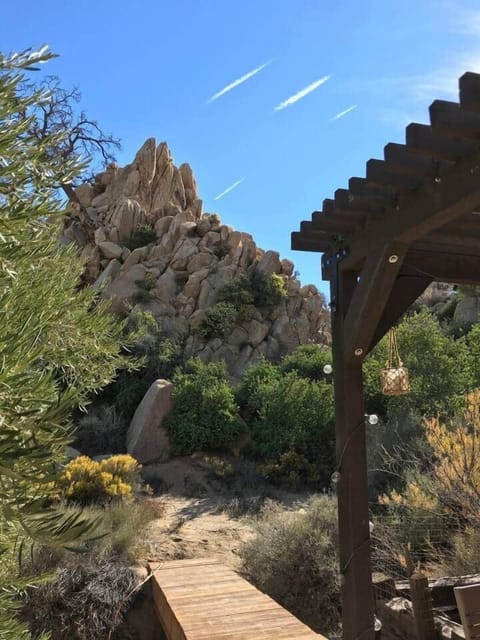 View from dining patio