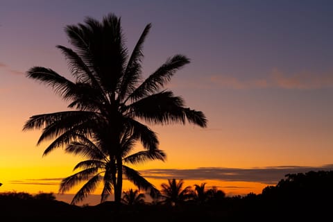One of Hawaii's amazing sunsets