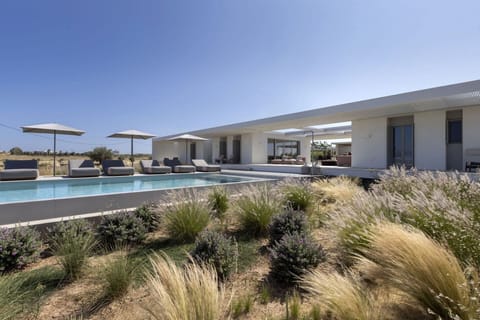 Whispering ornamental grasses by the pool.
