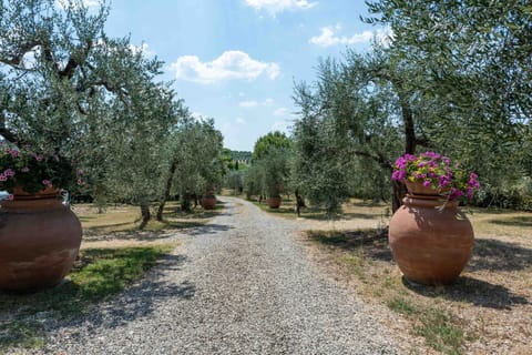 Shrub, Garden, Woody Plant, Landscaping, Flowerpot, Botanical Garden, Walkway