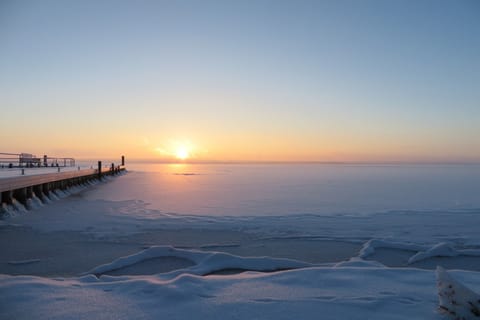 Immediate Surroundings [winter] (&lt;1 km)