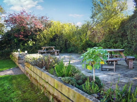 Outdoor | Cedars, Morthoe