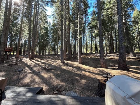 view looking out to the greenbelt in back yard