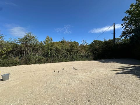 garden, petanque court