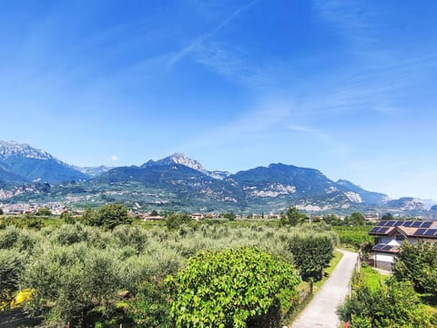 Car, Hatchback, Family Car