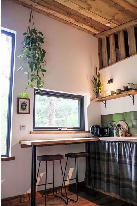 Wall, Interior Design, Wood, Furniture, Lighting, Home, Light Fixture, Ceiling, Room, Wood Stain