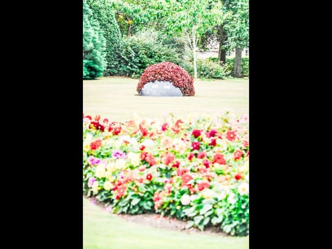 Red, Shrub, Garden, Petal, Groundcover, Spring, Landscaping, Lawn, Botanical Garden
