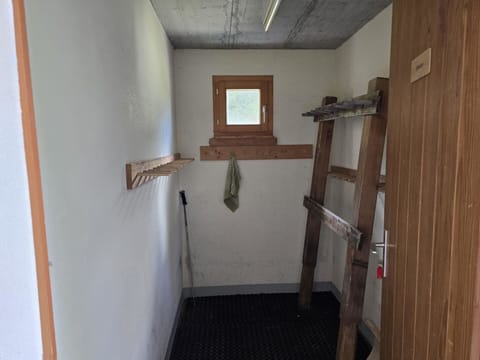 Wood, Flooring, Floor, Wood Stain, Hardwood, Ceiling, Plywood, Plank, Lumber