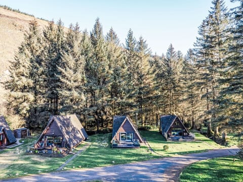 Larch, Park, Camping, Evergreen, Outdoor Table, Log Cabin, Pine Family, Outdoor Furniture