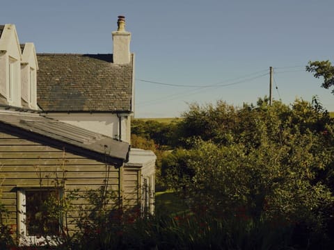 Green, Shrub, Home, House, Rural Area, Roof, Land Lot, Cottage, Twig, Siding