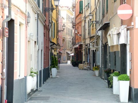 Window, Road Surface, Town, Alley, Road, Street, Urban Area, Neighbourhood, Flowerpot, Apartment