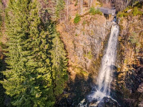 Apartment, Estate, Yard, Lawn, Landscaping, Balcony, Villa