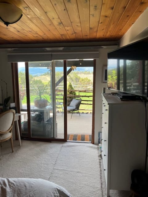 Lower level bedroom 1 with queen bed & Sliding glass door to covered patio/back