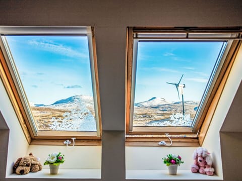 Mountainous Landforms, Snow, Mountain, Town, Winter, Mountain Range, Glacial Landform, Freezing, Hill Station, Slope