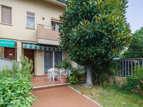 Shrub, Garden, Balcony, Yard, Shade, Flowerpot, Landscaping, Houseplant, Courtyard, Backyard