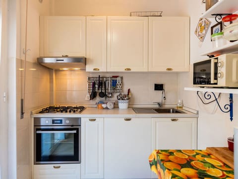 Kitchen Appliance, Kitchen, Countertop, Major Appliance, Kitchen Stove, Stove, Cabinetry, Home Appliance, Interior Design, Wood