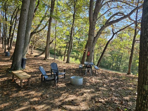 Chairs, fire ring, picnic table, and charcoal grill