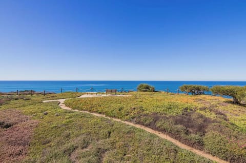 The grounds of the complex right in front of our unit