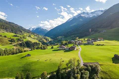 Surroundings [summer] (1-5 km)