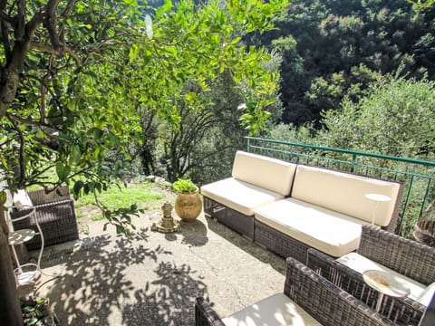 Vegetation, Shrub, Plant Community, Groundcover, Forest, Nature Reserve, Garden, Jungle