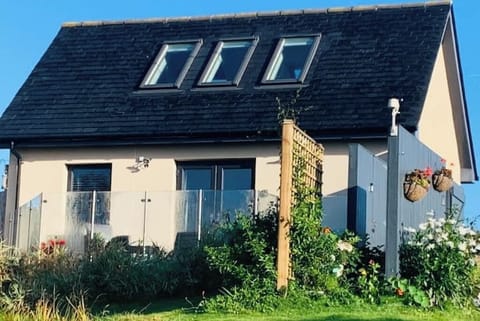 Christmas. Availability 2025