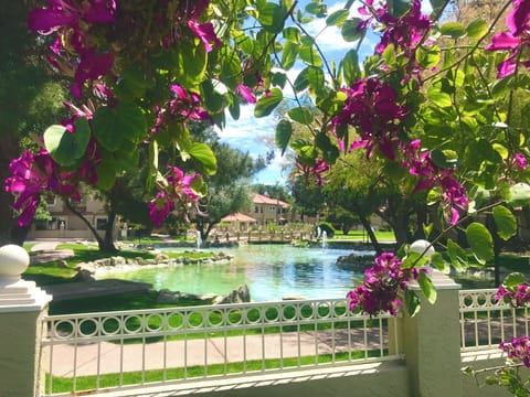 Looking at the Lakeside Villas Community Koi Pond from the Walking Path