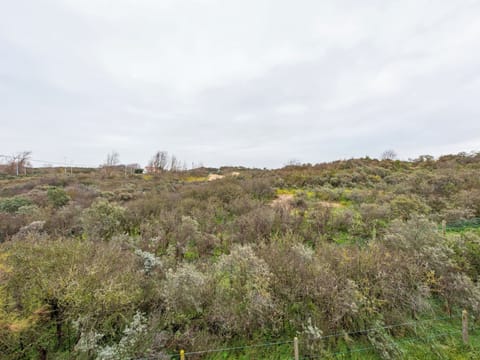 View from Holiday Home [summer]