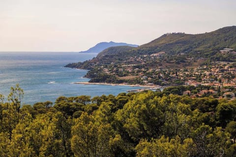 Vue depuis la maison 