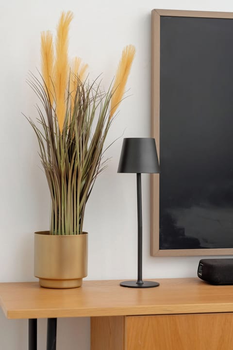 A close-up of a TV console with a potted plant beside the Smart TV. The wooden cabinet adds warmth to the minimalist interior.