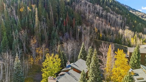 Surrounded by forest with spectacular views